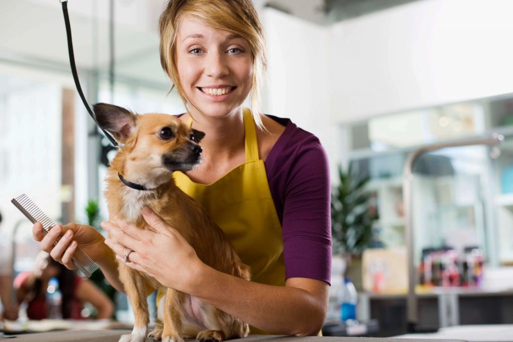Women-owned businesses--dog grooming
