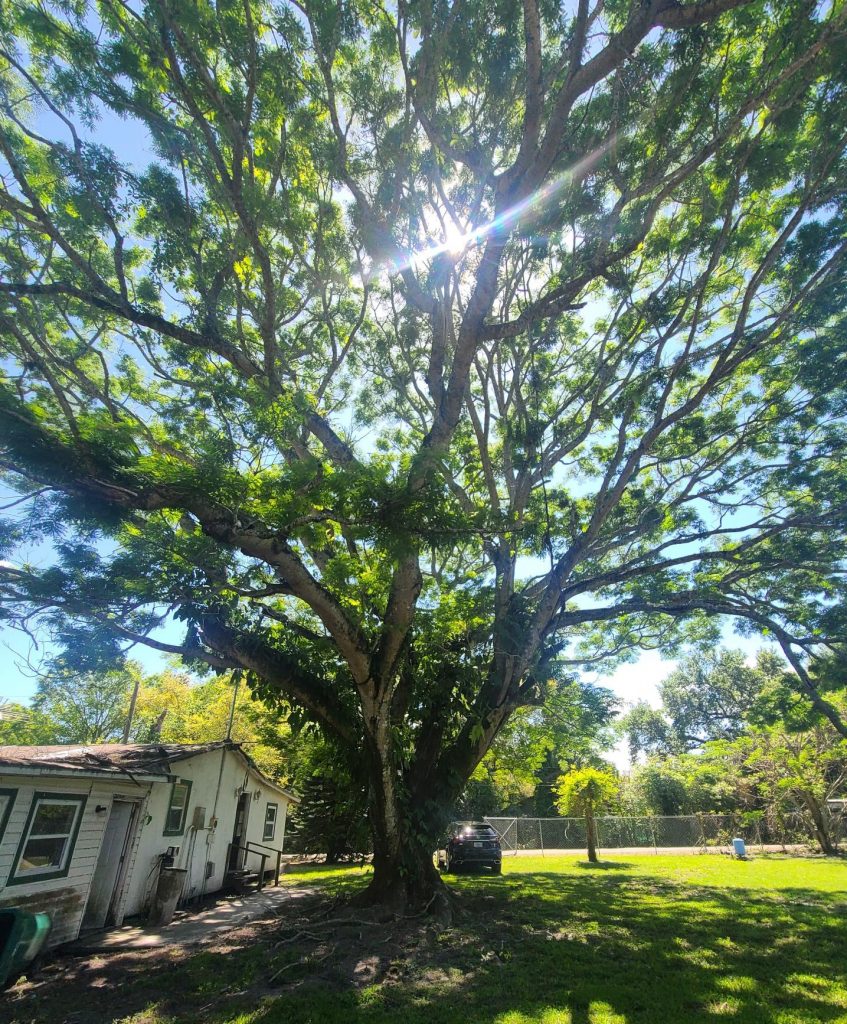 affordable homeownership